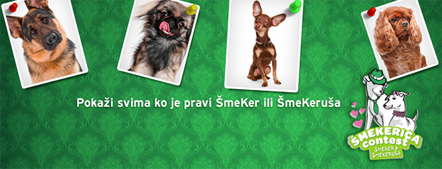 Održan Šmekerica izbor pasa