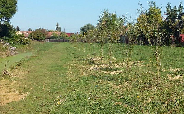 Jasibara ponovo oaza prirode