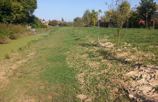 Jasibara ponovo oaza prirode