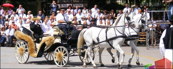 Dužijanca 2011 - fotografije