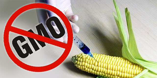 Akcija: Stop GMO!