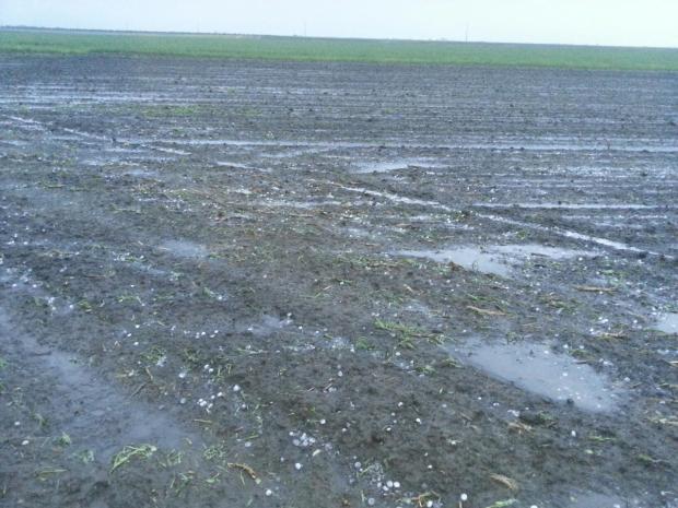 Zakazala protivgradna odbrana