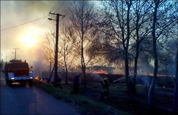 Požar - Palić