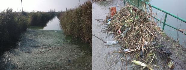 Raščišćavanje zagađenog kanala Palić-Ludaš