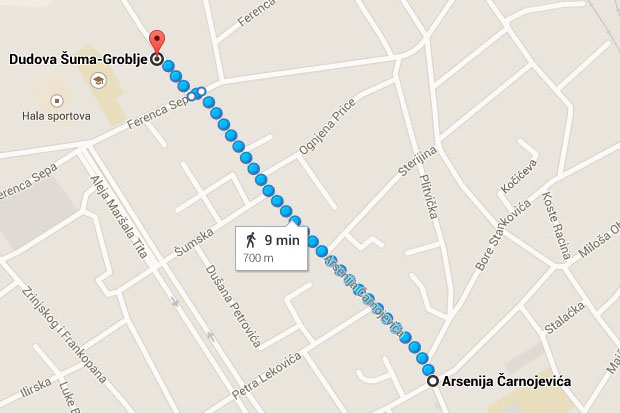 Privremena promena saobraćanja autobuskih linija 2, 8 i 9 (četvrtak i petak)