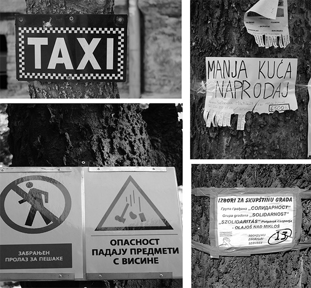 „Drvo nije bilbord“ - poziv Subotičanima da se priključe akciji