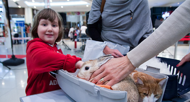 Izbor za Kraljevskog ljubimca Subotice