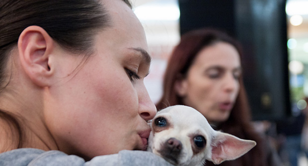 Izbor za Kraljevskog ljubimca Subotice