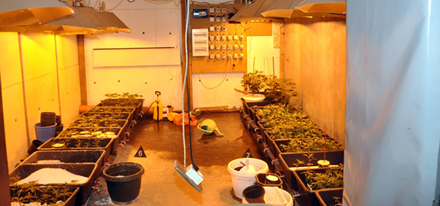 Hapšenje zbog proizvodnje i prodaje droge