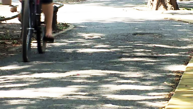 Subotica grad biciklista, a staze u lošem stanju