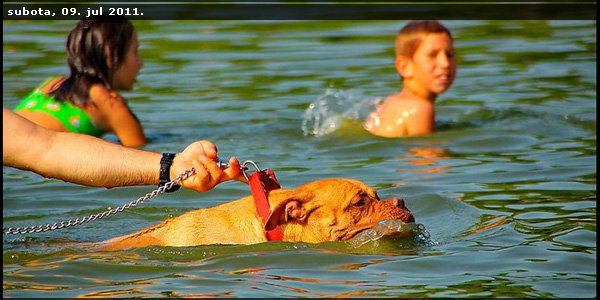 Jezero Palić - kupanje u Paliću