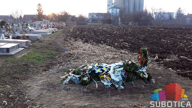 "Pogrebno" sahranjuje u - kukuruzištu!