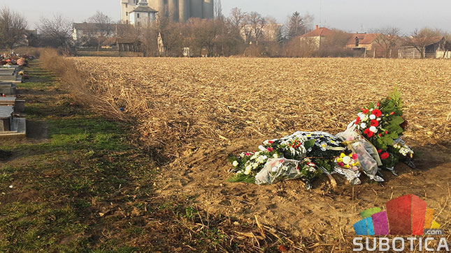 "Pogrebno" sahranjuje u - kukuruzištu!