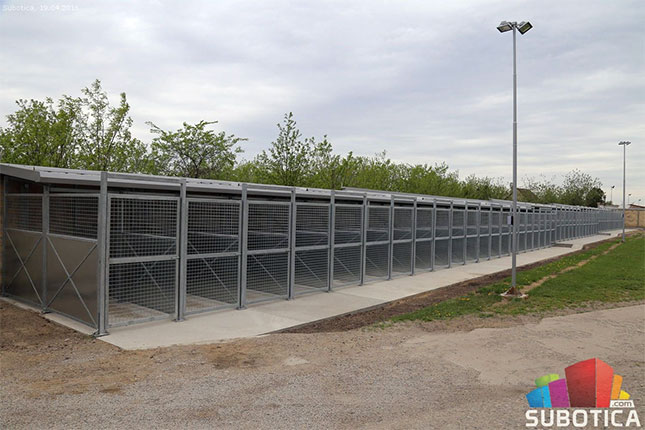 Udomite psa iz Prihvatilišta