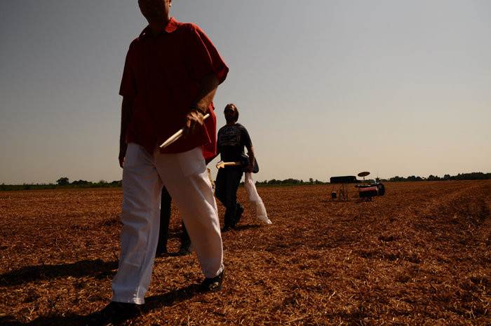 Quantum field (Novi Sad)