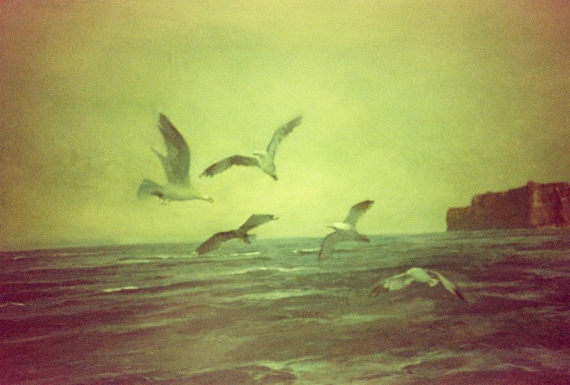 Radionica MOJE SAVRŠENO PUTOVANJE