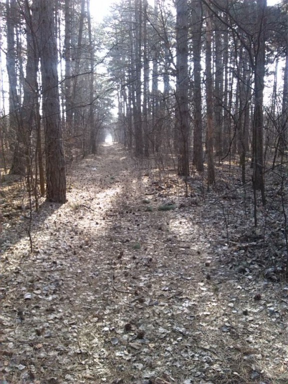 Redovna šetnja zdravlja sredom