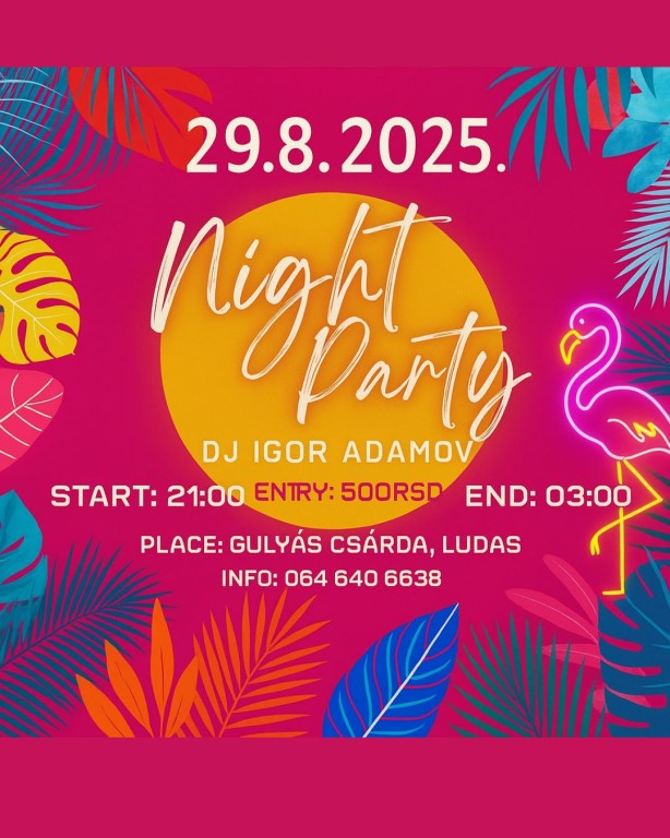 Noćna žurka na bazenu