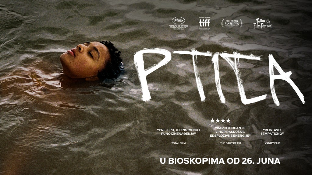 Film: Ptica