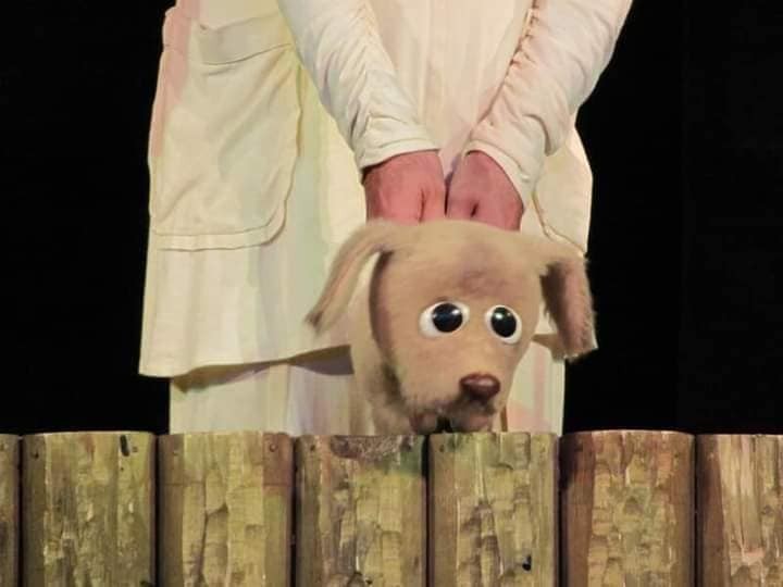 Előadás gyerekeknek: Csipet kutya kalandjai