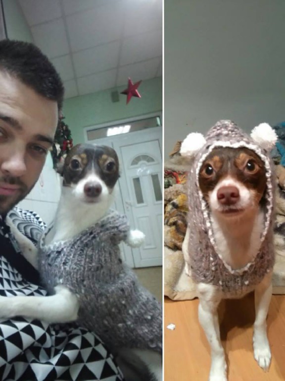 Humanitarna svirka za Animu