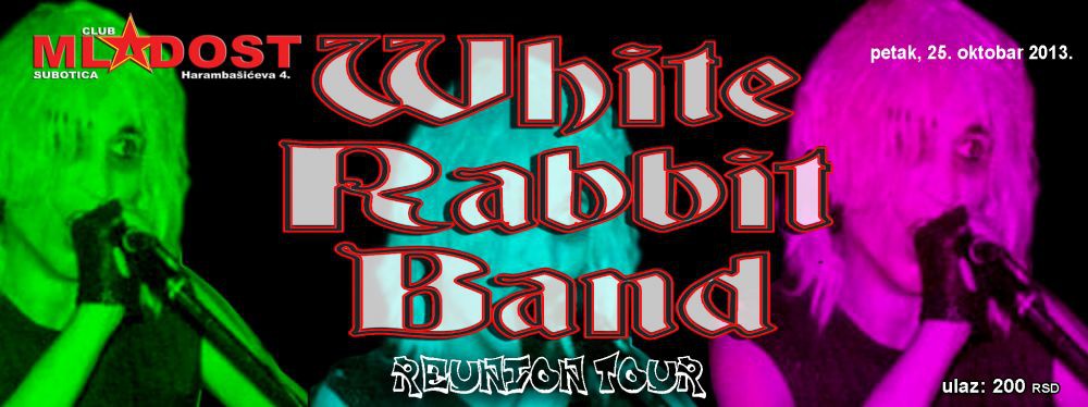 White rabbit band (Reunion tour)
