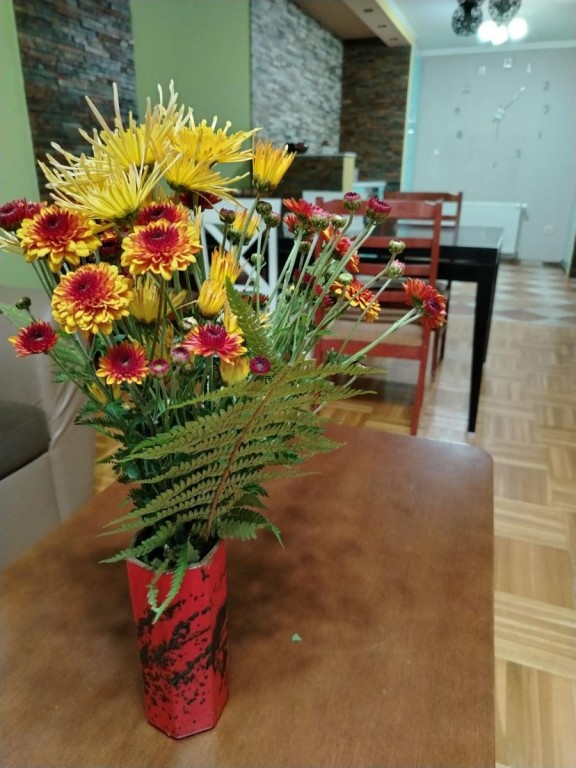 Dan otvorenih vrata - Dnevni boravak za starija lica „Kutak radosti“