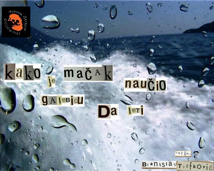 Dečja predstava: Kako je mačak naučio galebicu da leti