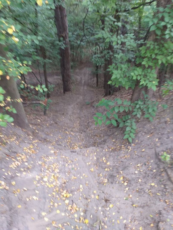 Redovna šetnja zdravlja sredom