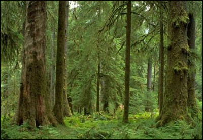Zaštita prirodnih dobara u ogledalu globalnih ekoloških problema