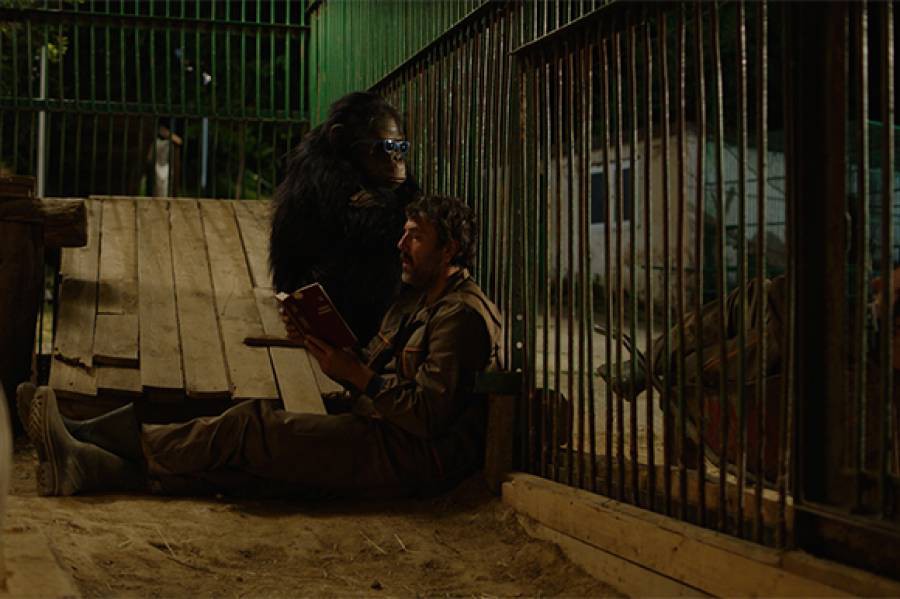 25. Festival evropskog filma Palić: Takmičarski program: Godina majmuna