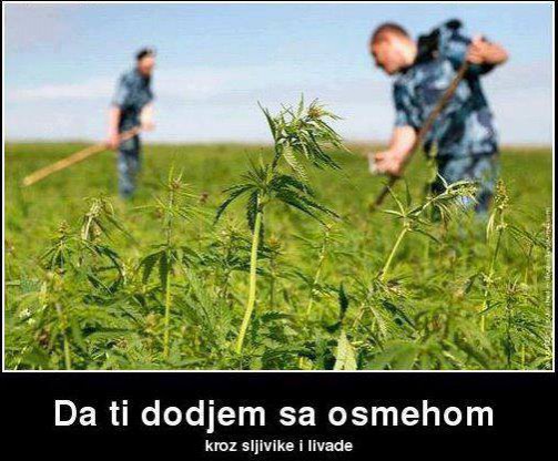 "Lucky & Skinfy" acoustic duo