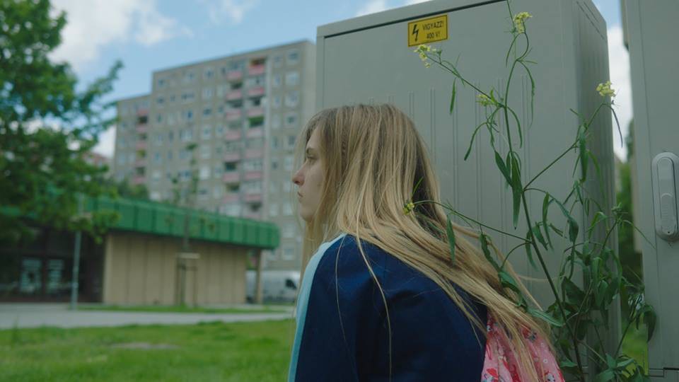 25. Festival evropskog filma Palić: Paralele i sudari: Cvetna dolina