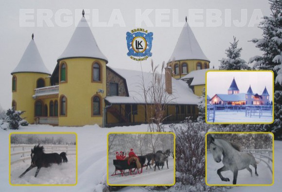 Doček Nove godine na Ergeli Kelebija