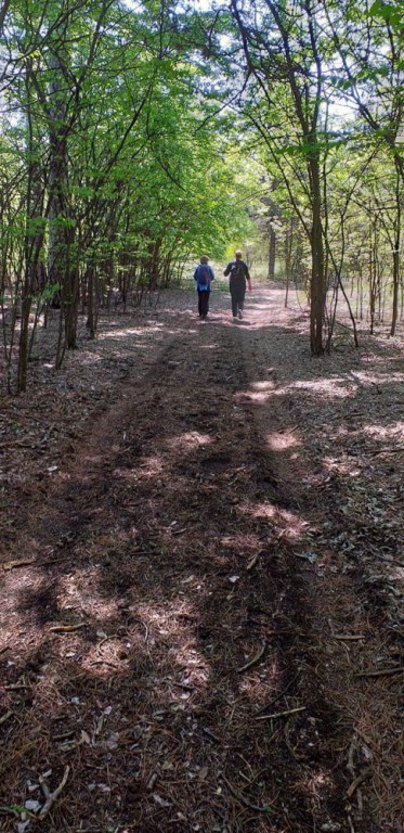 Šetnja zdravlja sredom