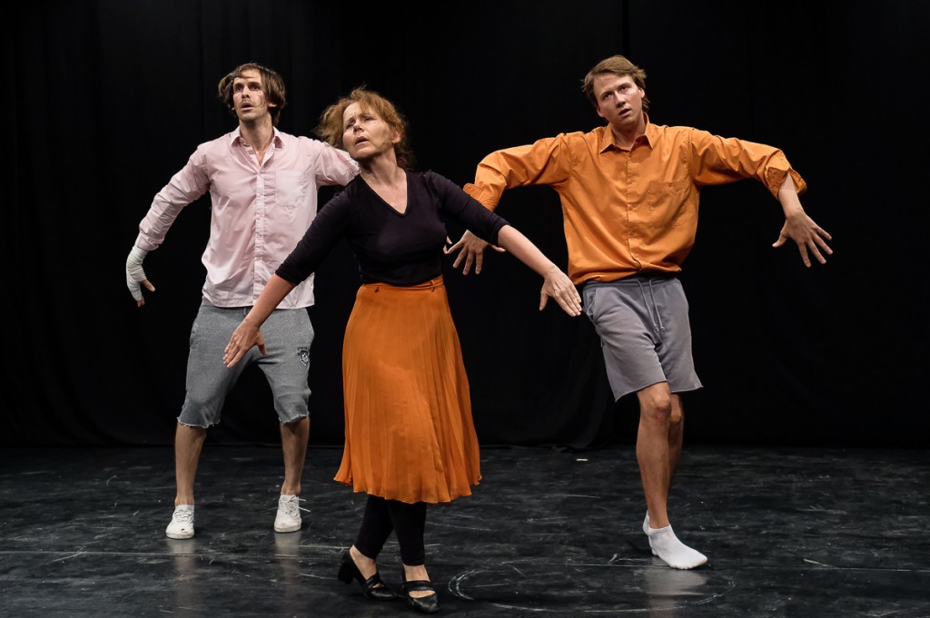 TPozorište "Deže Kostolanji" - Tomas Bernhard: Pozorištarac