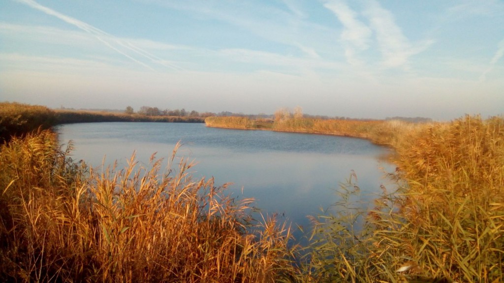 Pešačenje Tavankutskom šumom