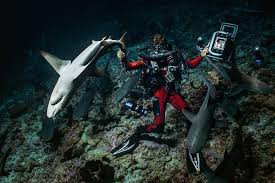 Festival podvodnog filma