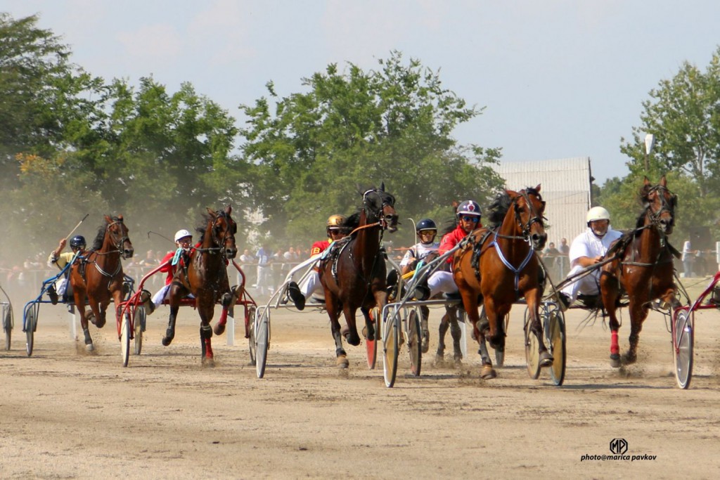 Trka grada Subotica & Revanš Derby