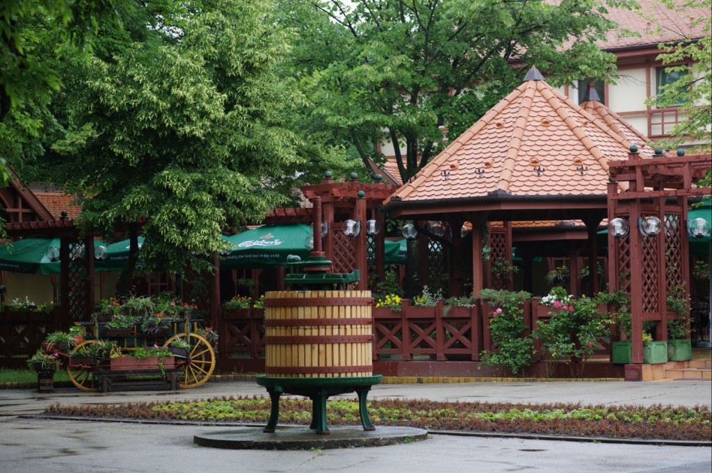 Živa muzika Boban i Lidija