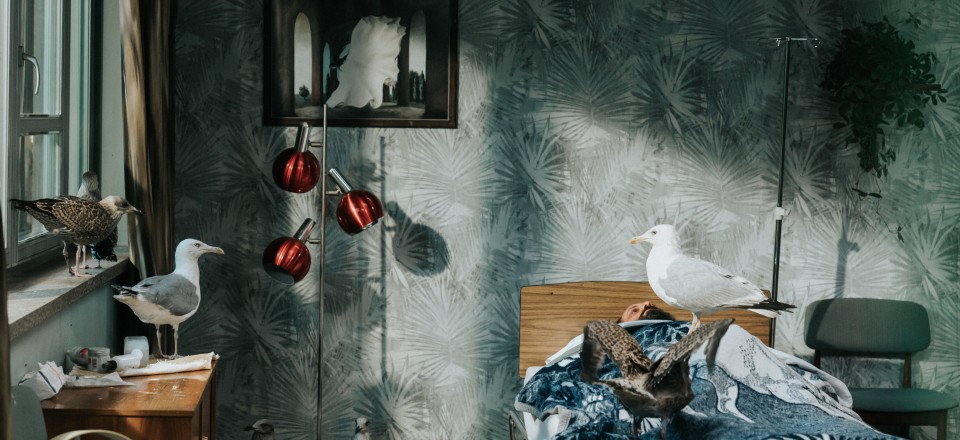 Film: Budale (Festival evropskog filma Palić)