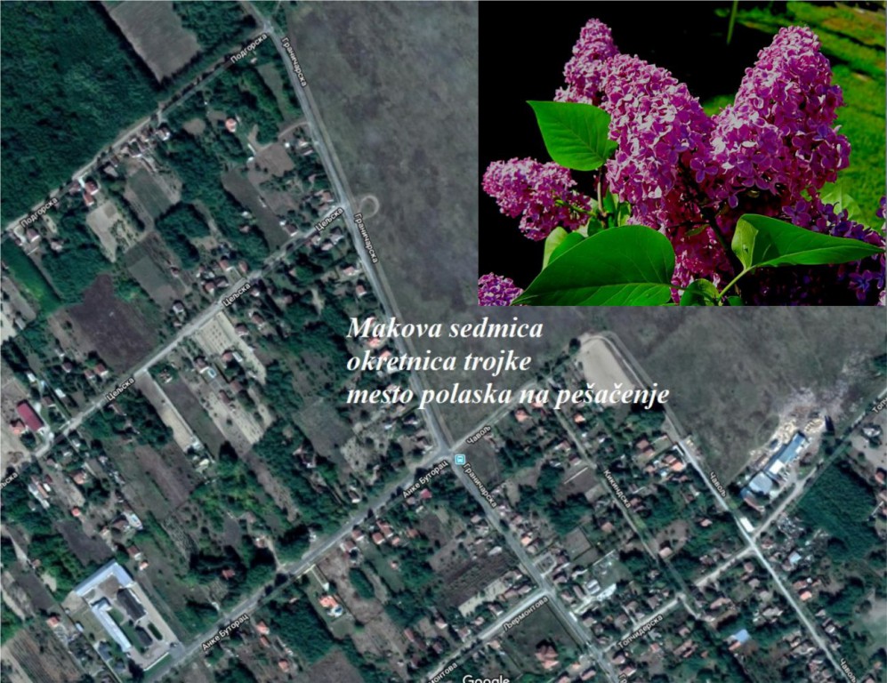 Stazama jorgovana - šetnja zdravlja