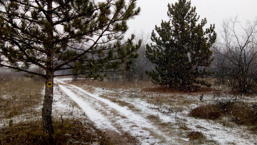 Pešačenje okolinom grada