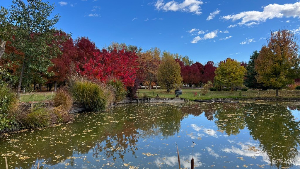 Slikaj i Cirkaj: Poznati umetnici na Salašu Đorđević