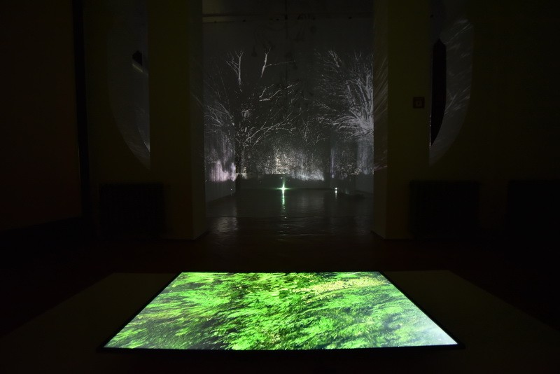 Radionica: Planeta posle čoveka