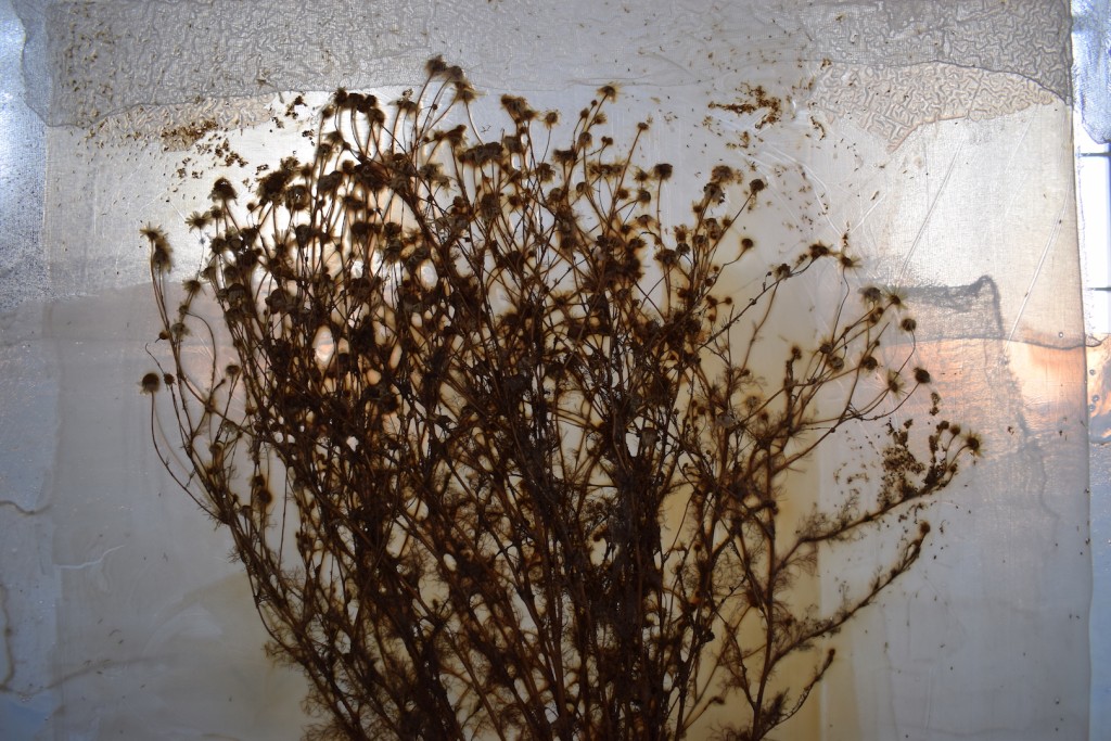 Ana Vujović: O BESKONAČNOJ PROMENI