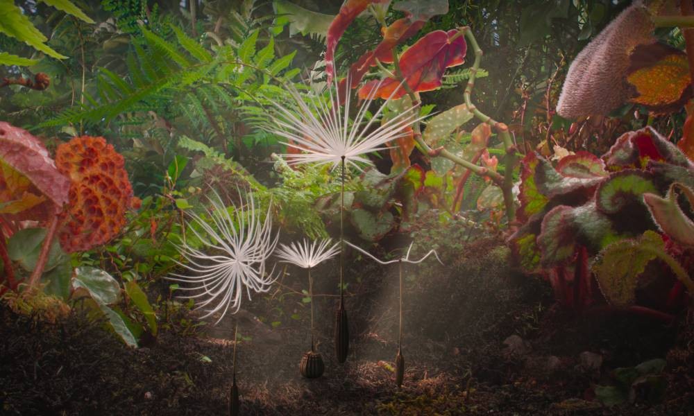 Film: Odiseja jednog maslačka