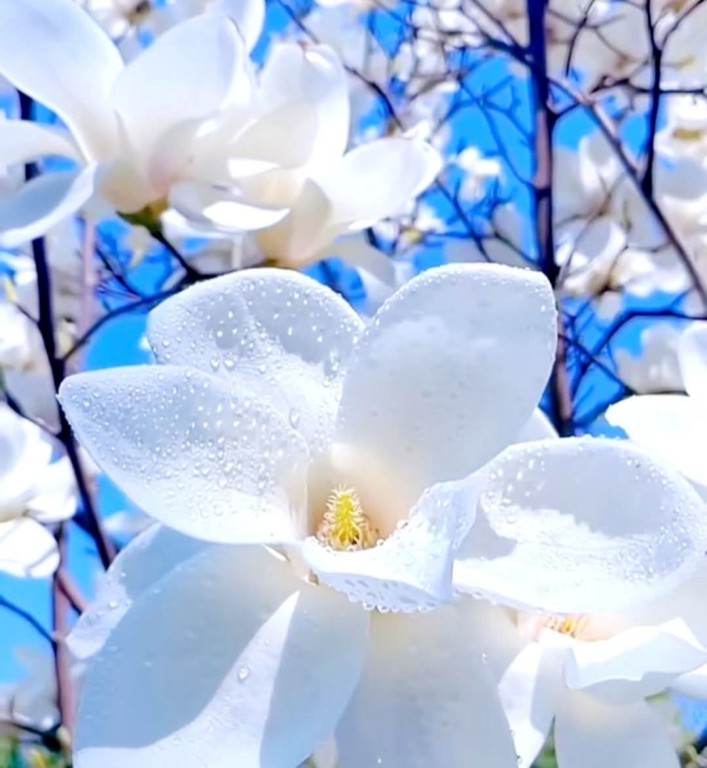 Besplatna psihoterapijska radionica - konstelacije