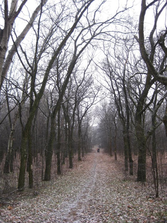 Šetnja zdravlja sredom