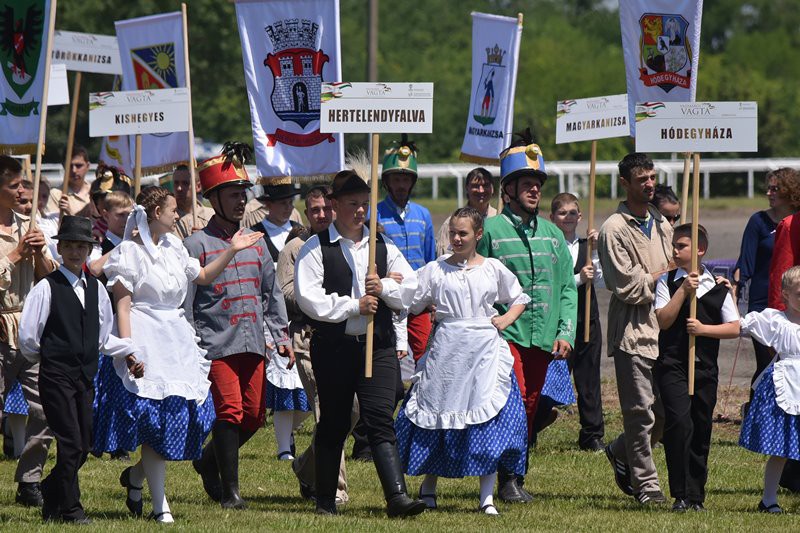 Program VI "Vojvođanskog galopa"